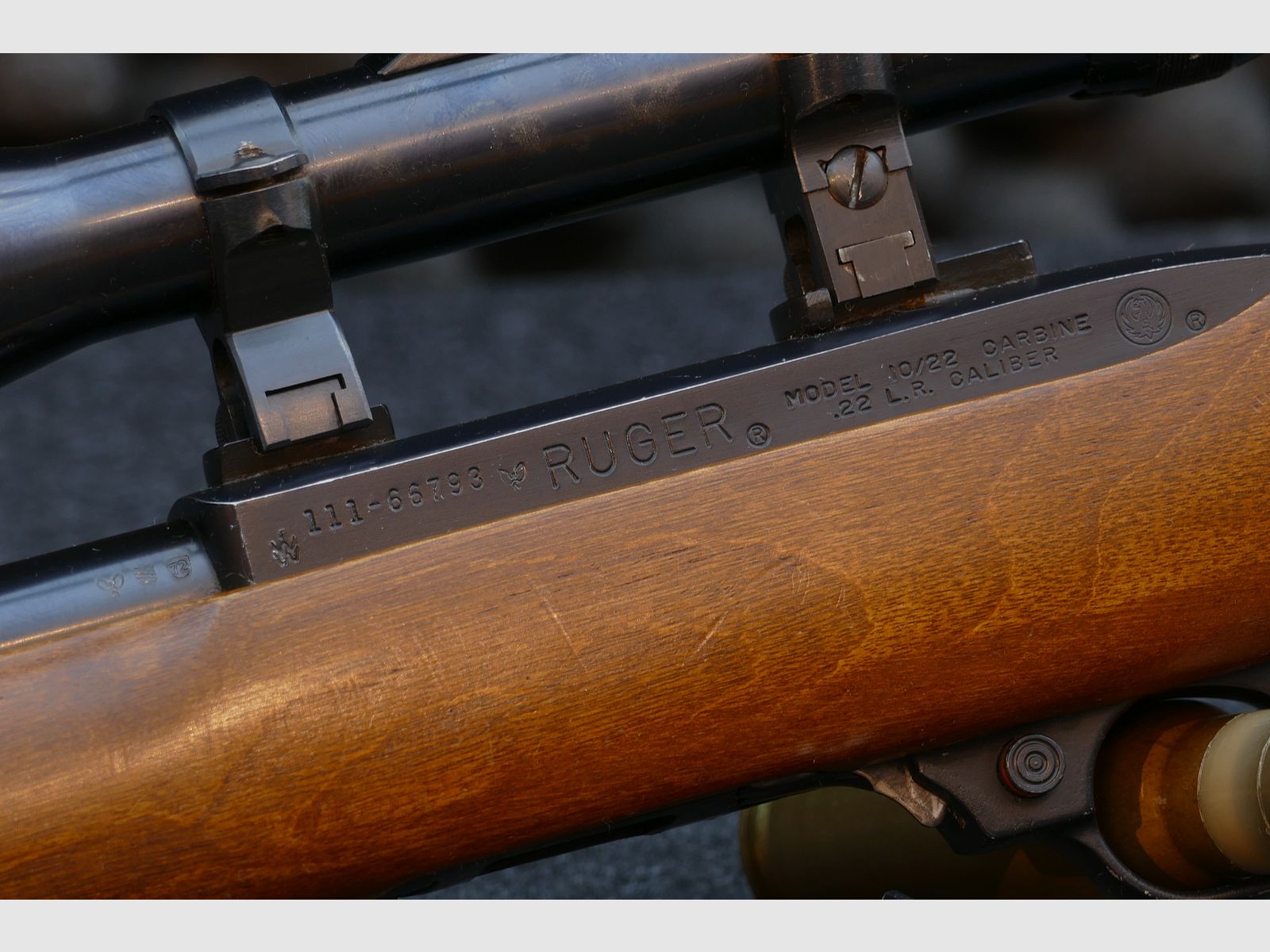 Ruger 10/22 DSP "Sporter", semi-automatic, self-loading rifle, .22lr