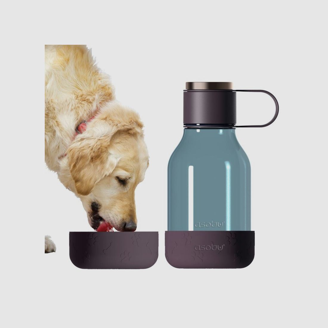 Asobu - Dog Bowl - Flasche aus Tritan mit Hundenapf 1,5 Liter Burgunderrot