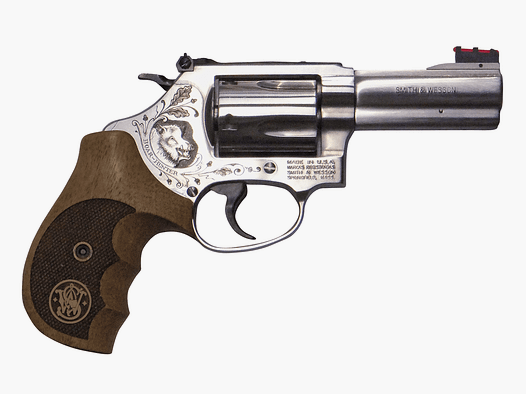 S&W Sondermodell 60 Boar Hunter