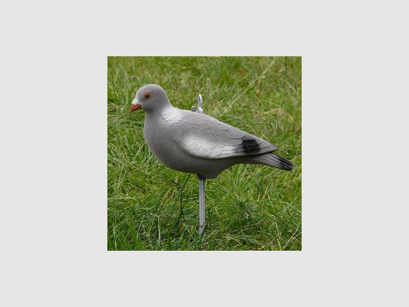 le Lac Passion Ringeltaube Vollschale (peluche) |