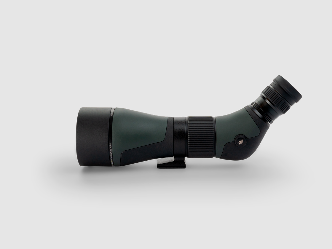 GPO Telescopio terrestre Passion 20-60×85 APO, immagine 4 di 8