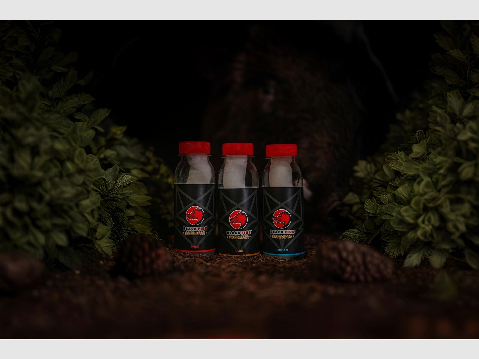 Black Fire Predator attrattivo per predatori 3 × 80 ml, immagine 8 di 15