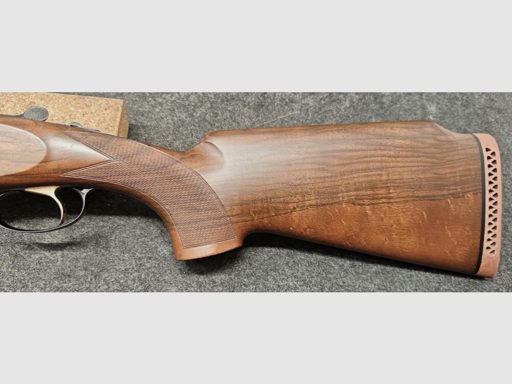 Sabatti / Mercury Olympo Trap
