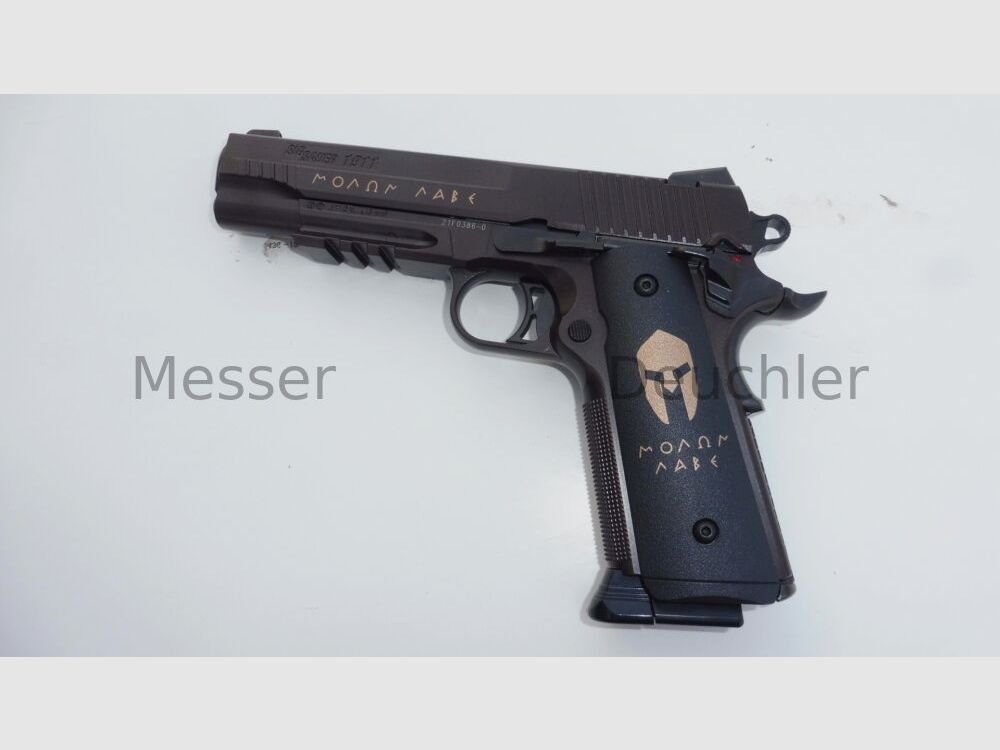 Sig Sauer 1911 Spartan