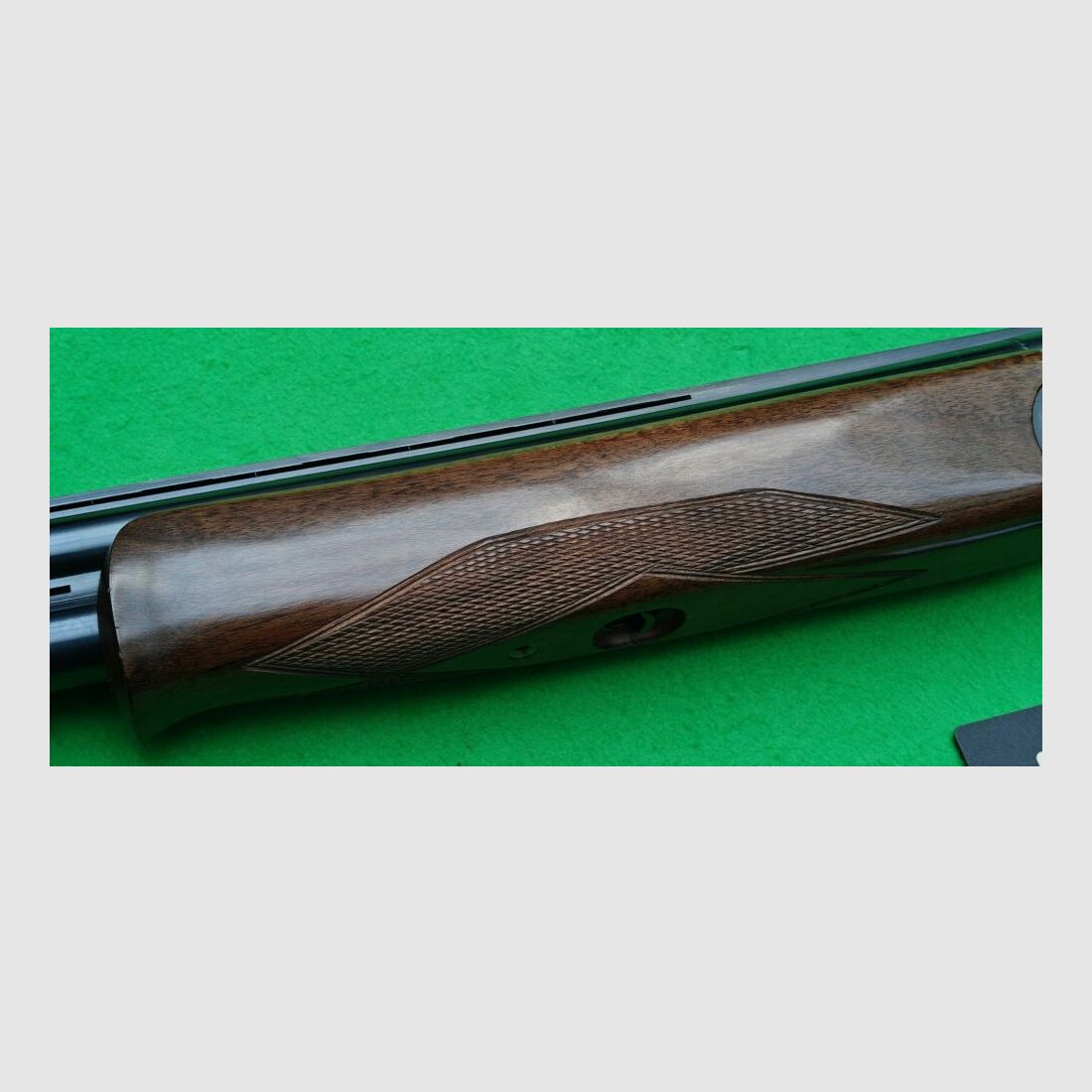 Rizzini