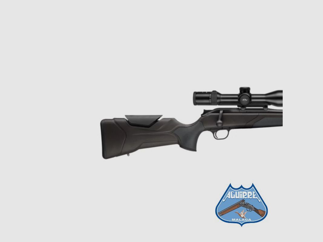 Fusil Blaser R8 Professional 2.0, image 2 sur 6