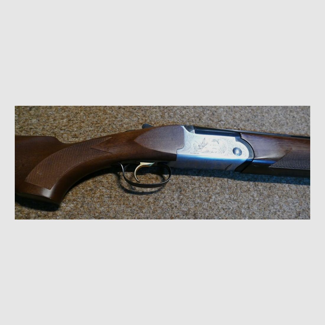 Rizzini Albion