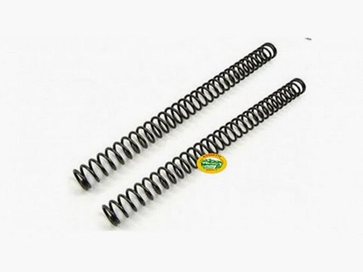 GHOST Progressiv Rückholfeder für CZ 75/SP01/SHADOW 2 13 LBS FO000503