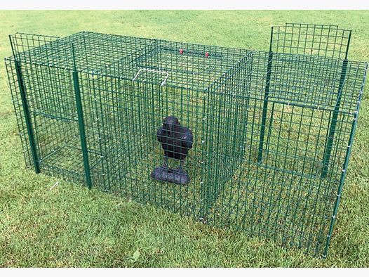 Universal bird trap