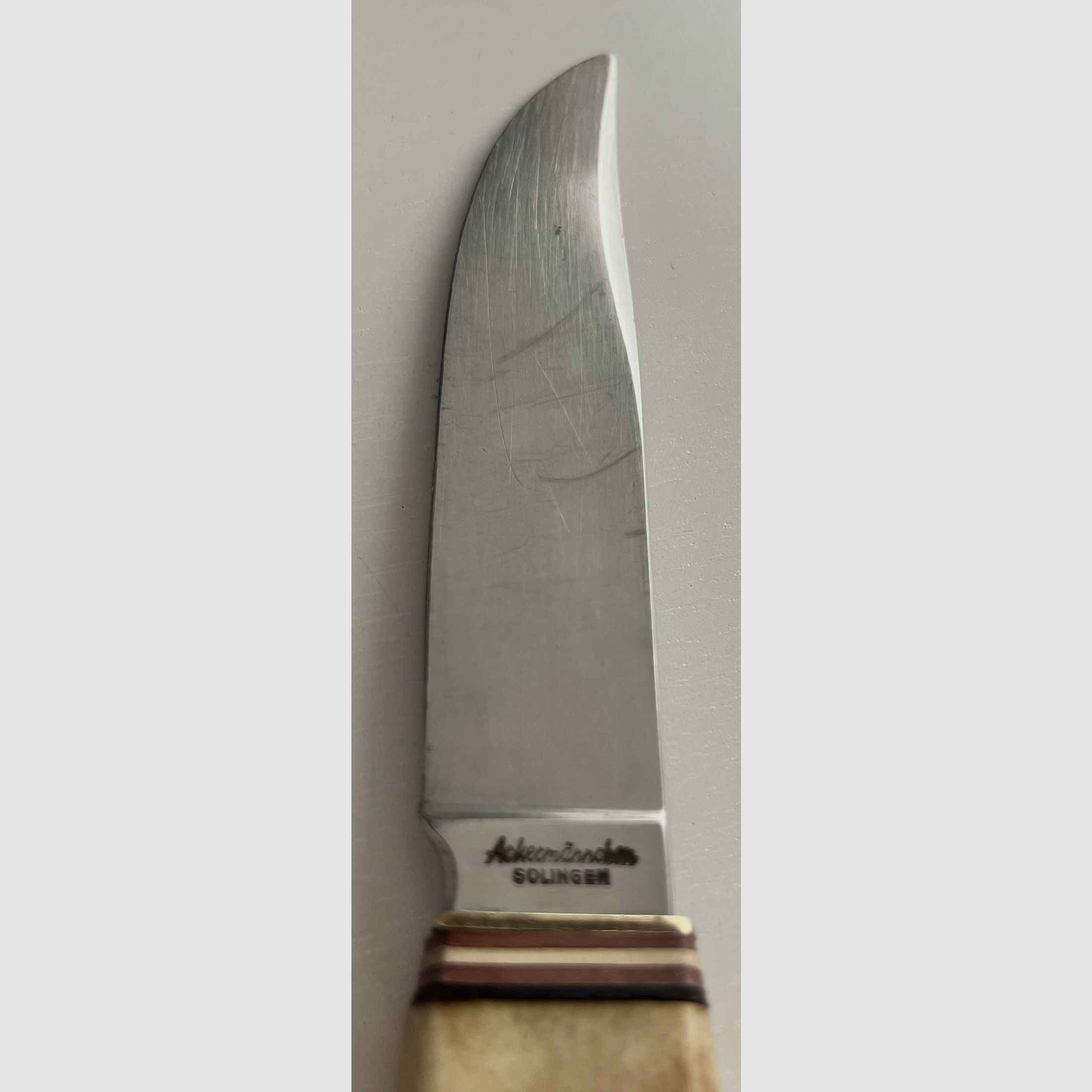 Solingen hunting knife "Ackermännchen" – Real horn handle with fine deer carving & leather sheath