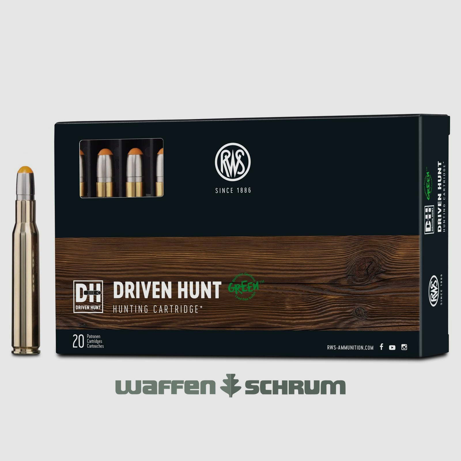 RWS Driven Hunt 10,7g - 165gr .30-06Spring
