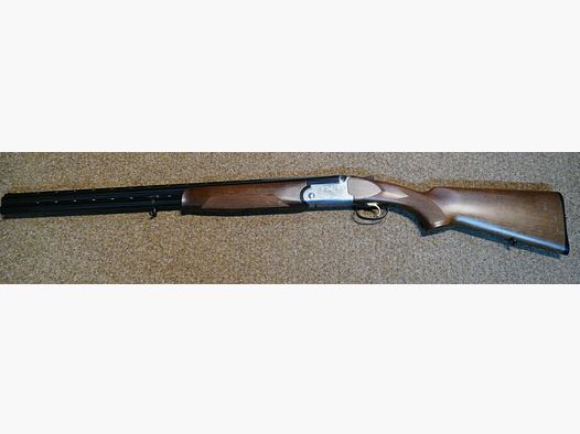 Rizzini Albion