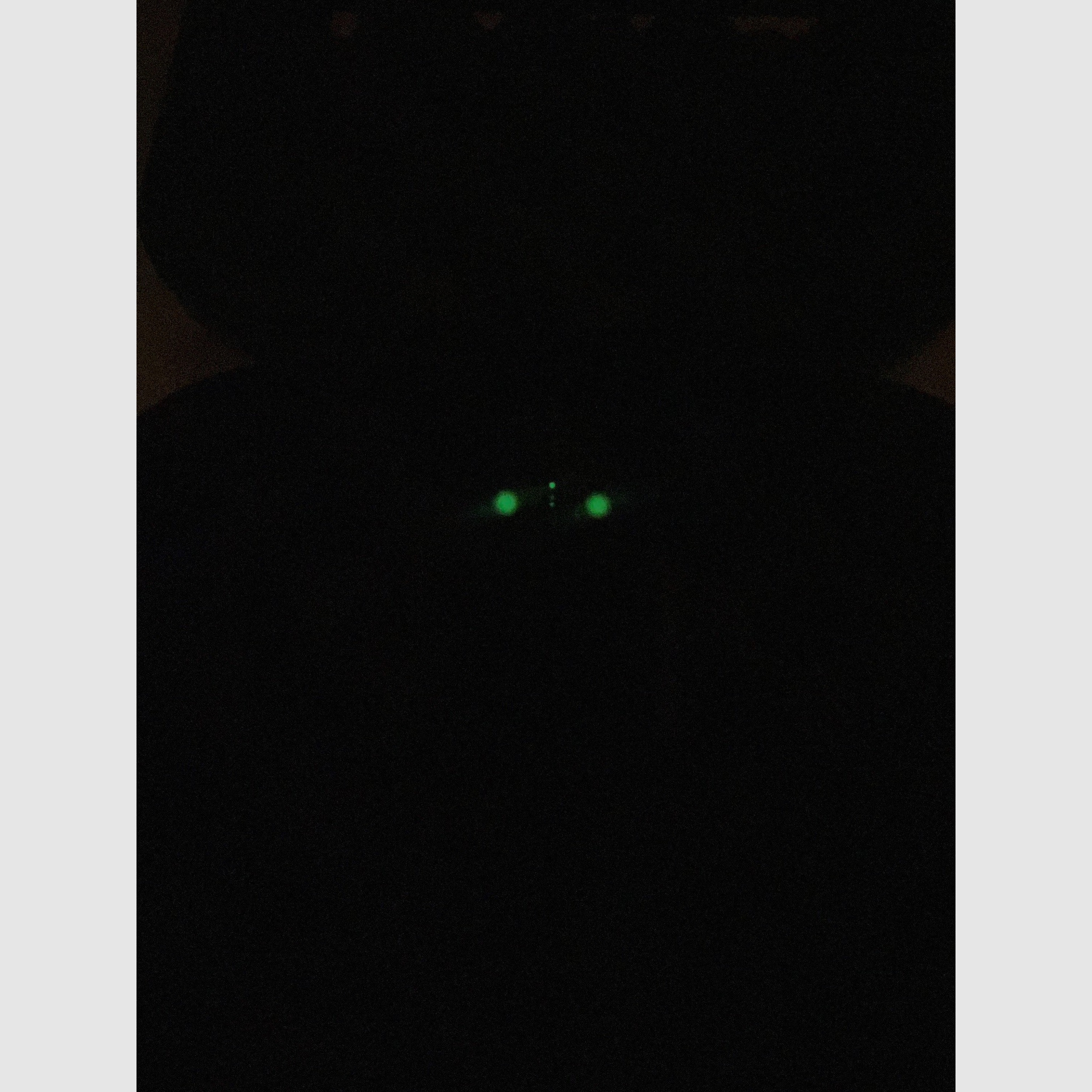 Glock 19 Gen 5 MOS + Trijicon Night Vision Device + Magazine