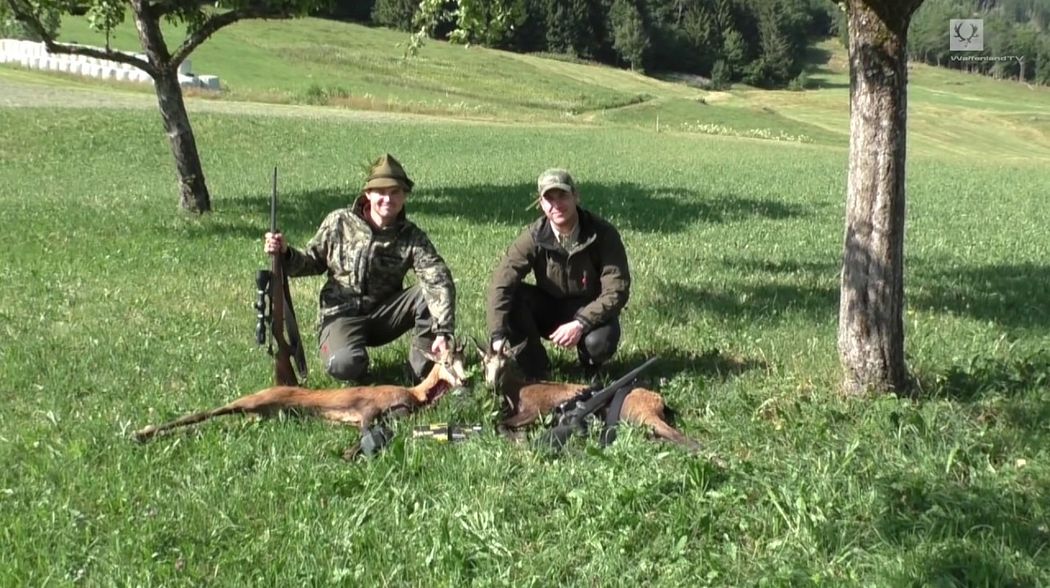 Sommerjagd auf Waldgams / Hunting Black Forest Chamois