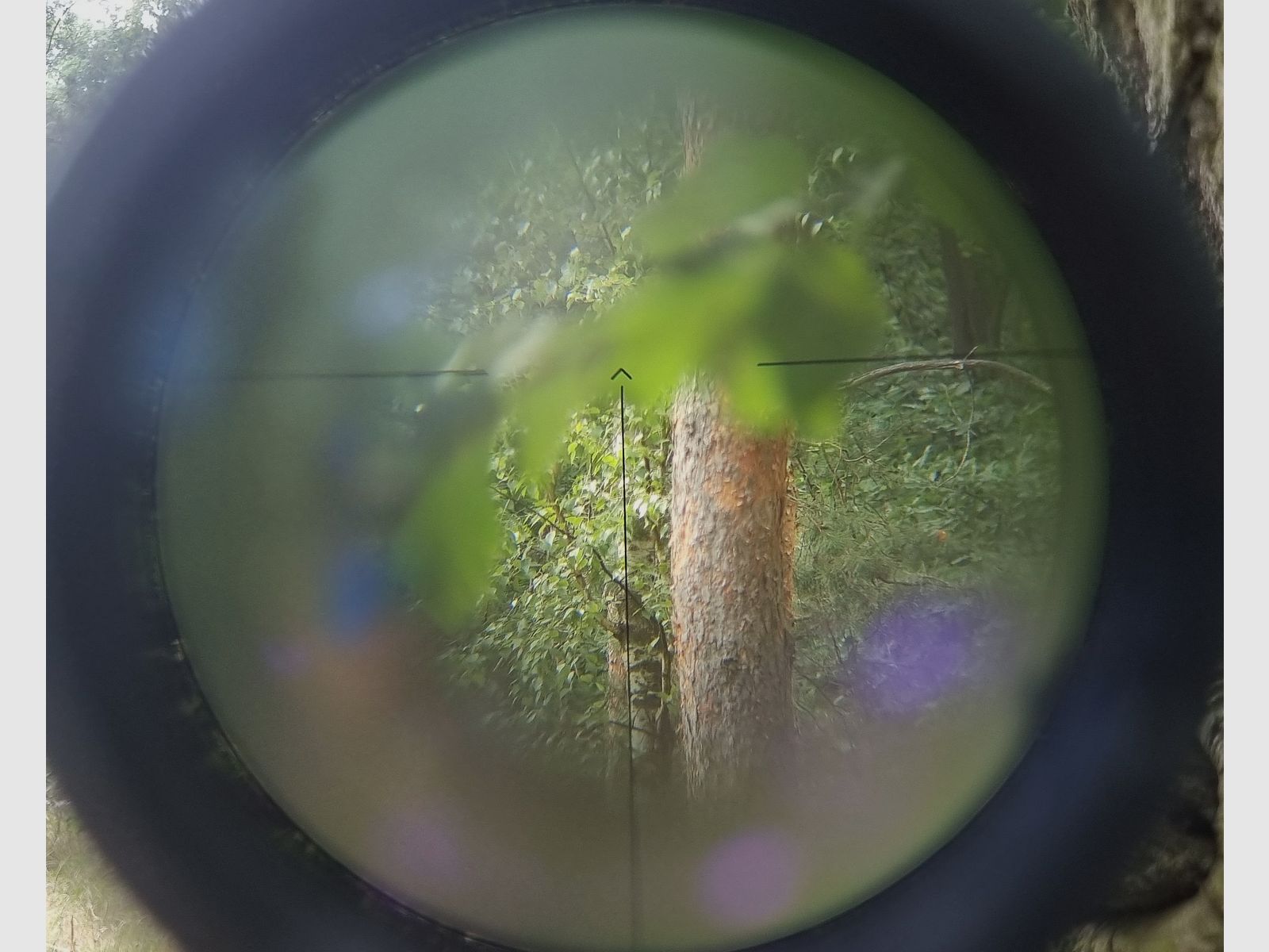 Visor Belaruso BelOMO POSP 6x24 (PSO-1) para SVD Dragunov & AK Kalashnikov SAIGA / Rusia / Unión Soviética / URSS
