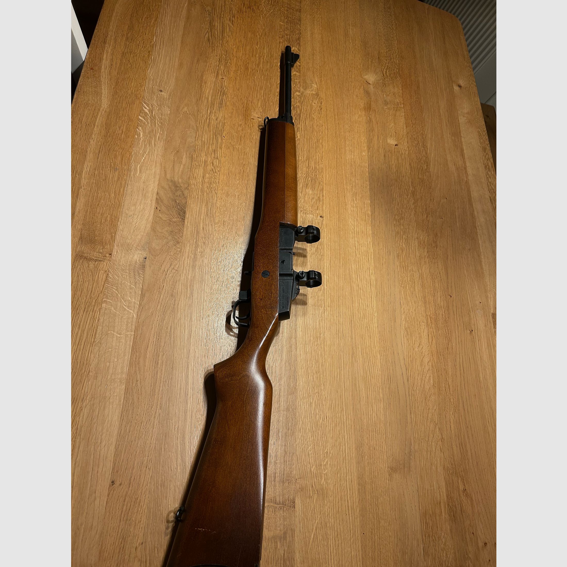 Ruger mini 14