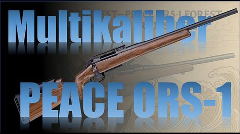 Wiederholgenau trotz Laufwechsel? Wir testen die PEACE ORS-1 Forest Multikaliber Repetierbüchse!
