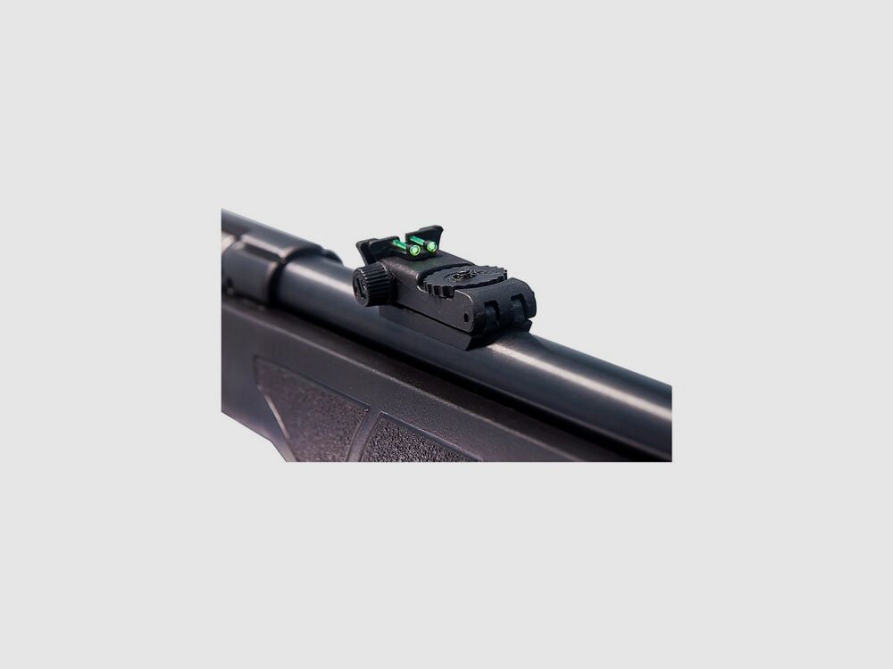 Rossi Petite carabine semi-automatique 7022 (Calibre .22 lfb.), image 5 sur 5
