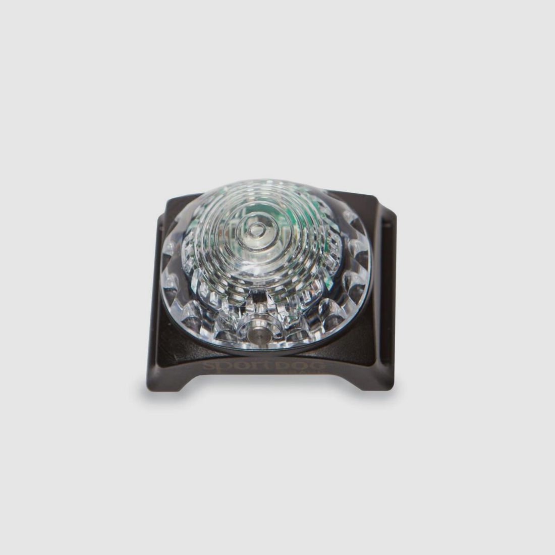 Sport Dog Hunde Ortungsleuchte