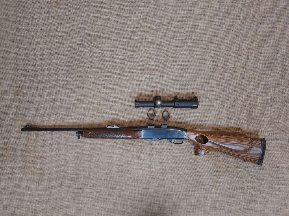 Remington, USA Modèle 742