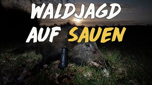 Nachtschicht: Waldjagd auf Sauen