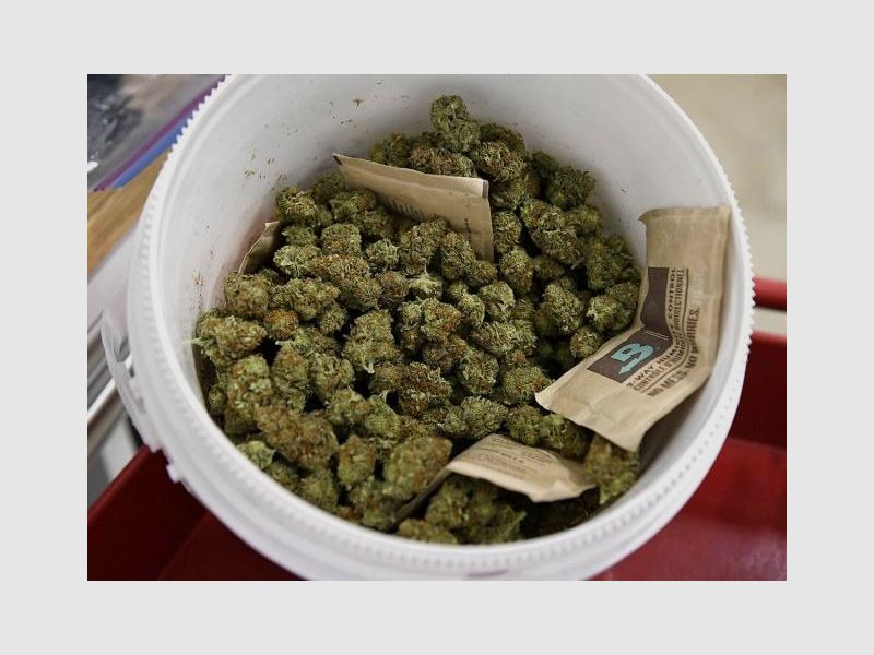 Chaud cocaïne : nous vous ferons revenir. Coca : toute la nuit, pas de banderoles. cocaïne. Gros truc Envoyez-moi un message sur Google Chat