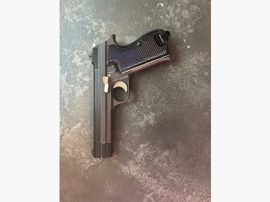 Very nice Sig 210