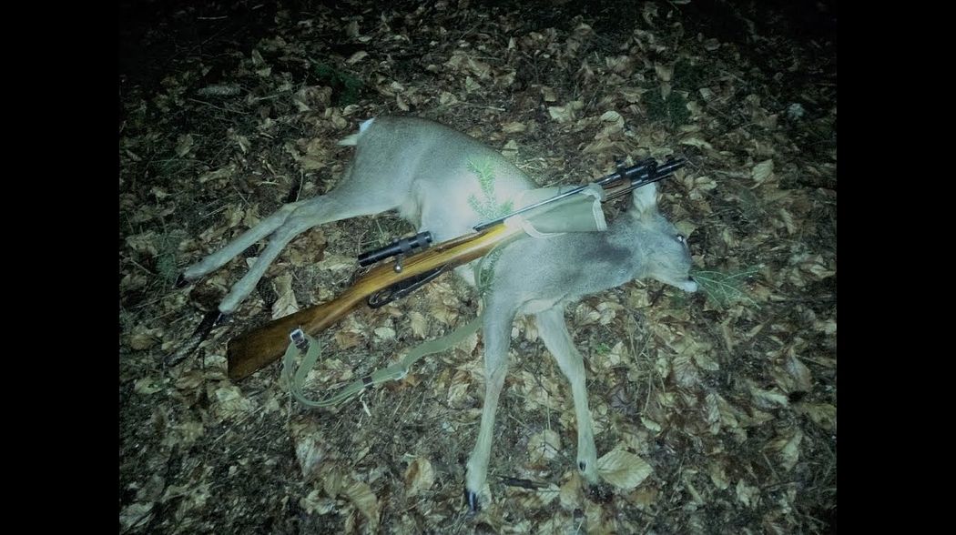 Mosin Nagant Sniperrifle im Jagdeinsatz 18er #MosinNagant #jagenextrem