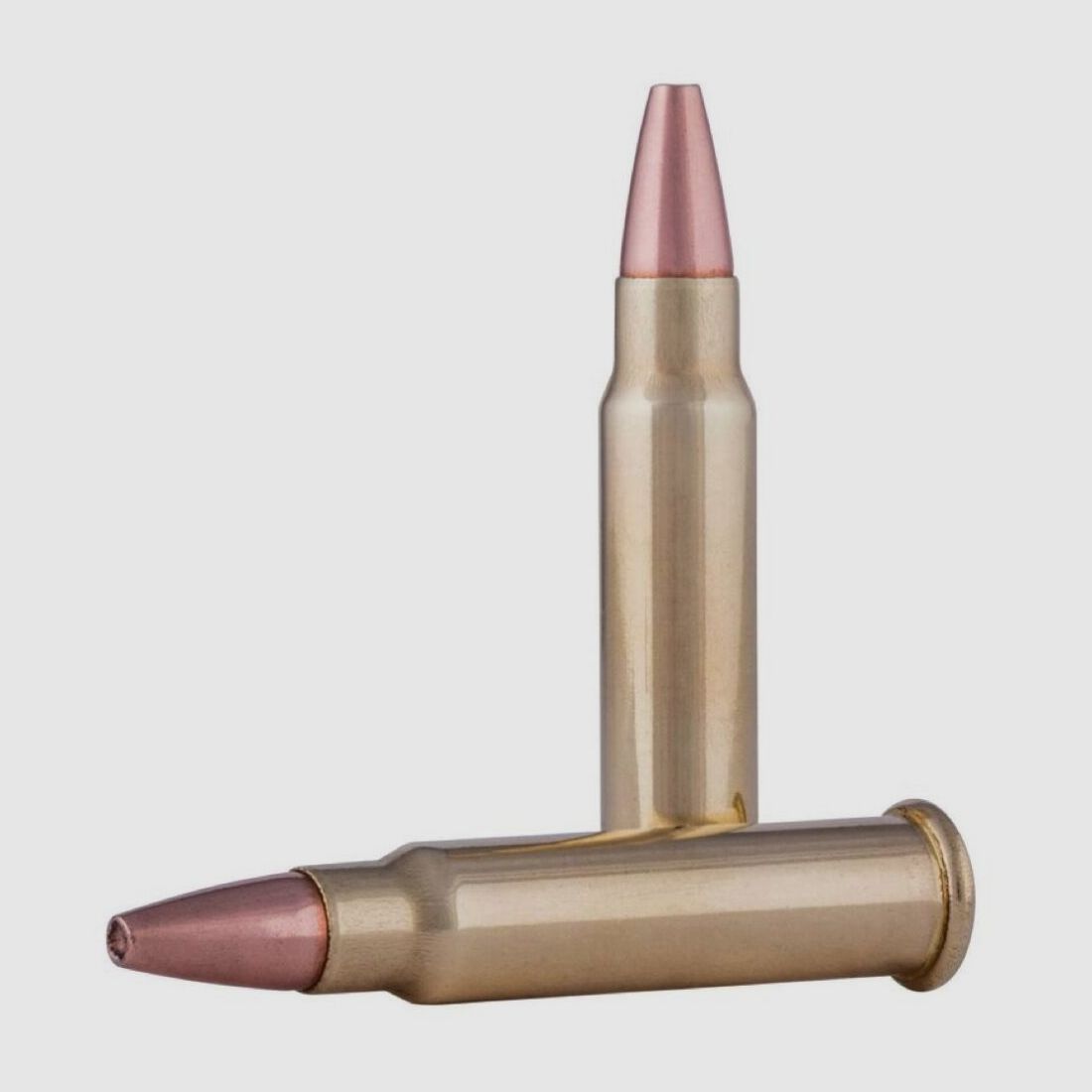 CCI TNT Green HP 16grs 50St .17HMR