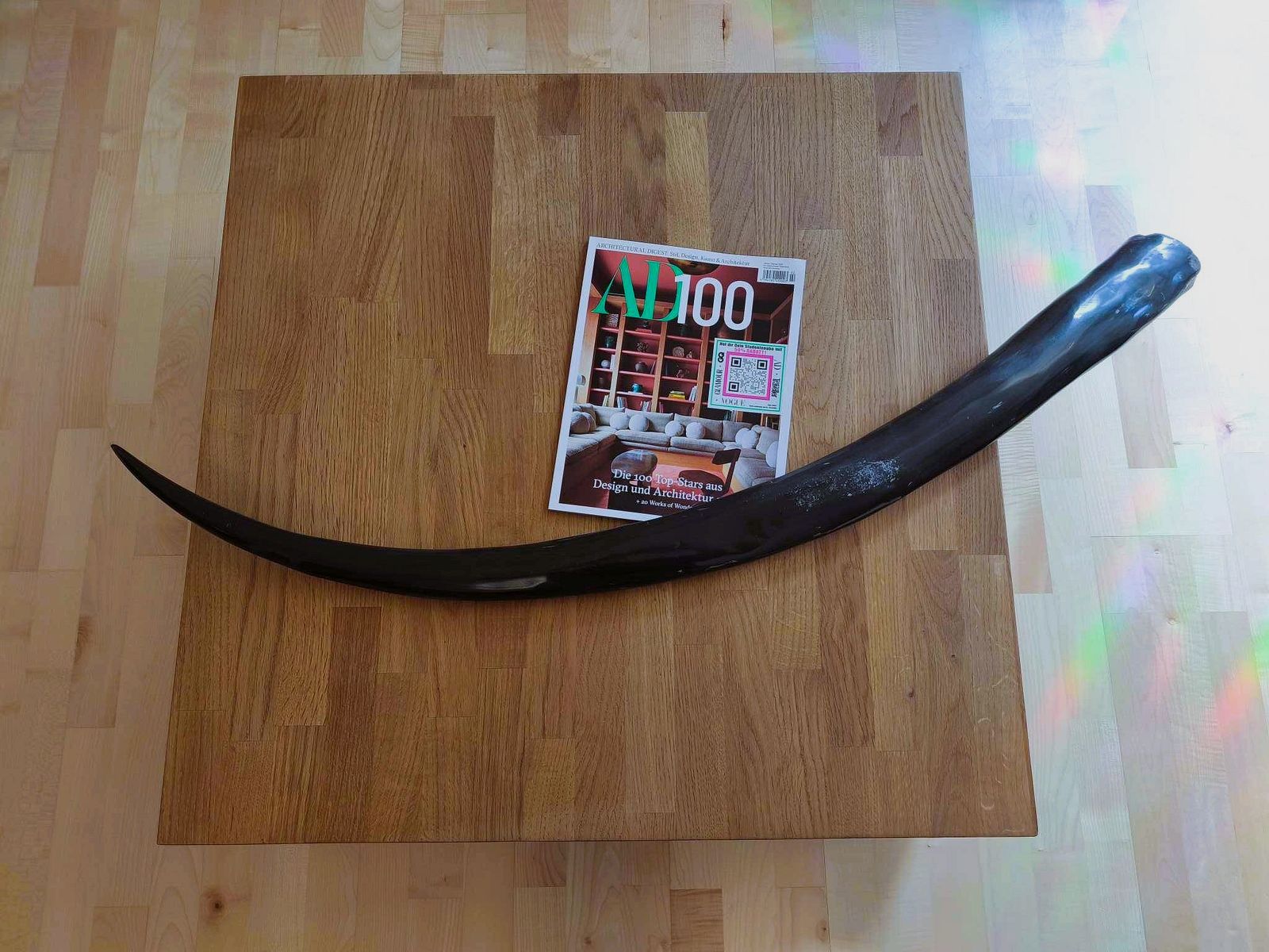 Longhorn Thai Buffello XXL Wasserbüffel Horn poliert 117cm