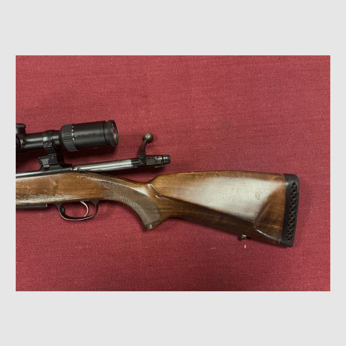 CZ 550