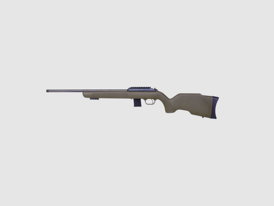 DIANA R22 CLASSIC POLYMERE 22LR, image 2 sur 2