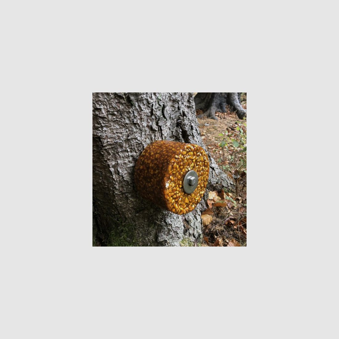 Juego de tornillos Wildlutscher para montaje en árbol