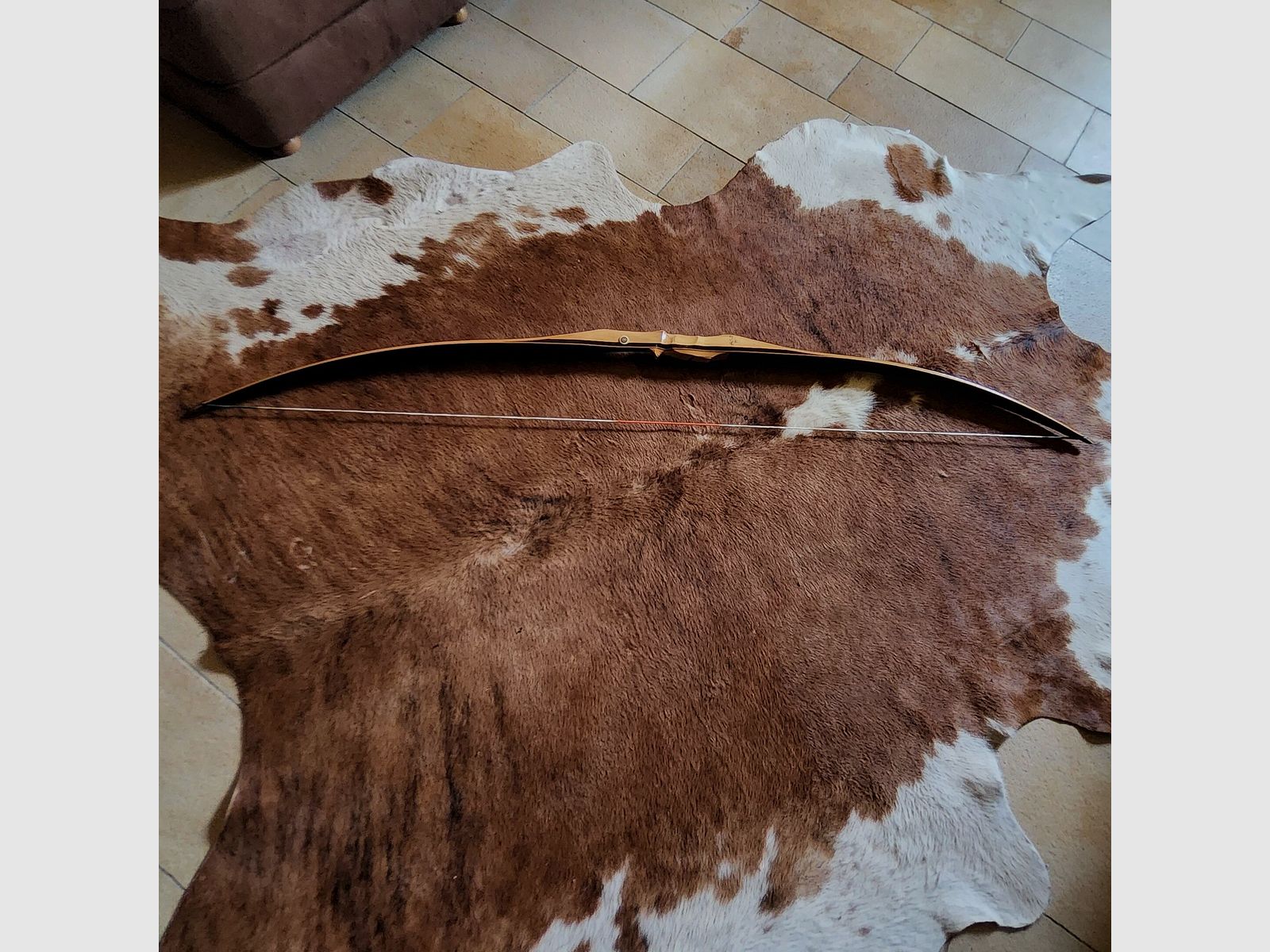 Black Flash Archery Jagdbogen Impala Bogen im Set