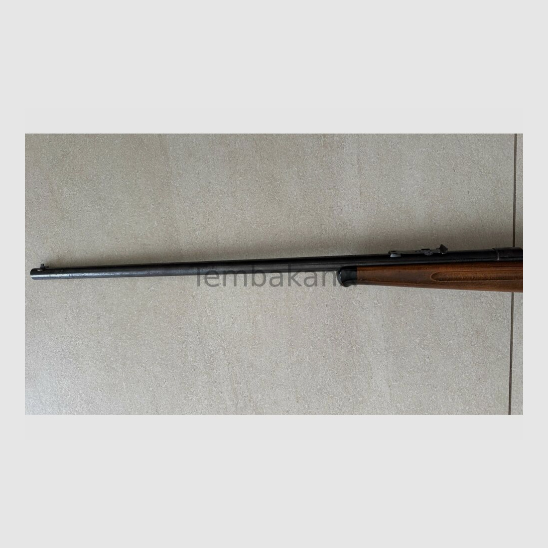 Anschütz .22lr
