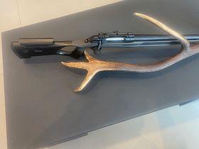 Sauer 202 carbon stock caliber 308