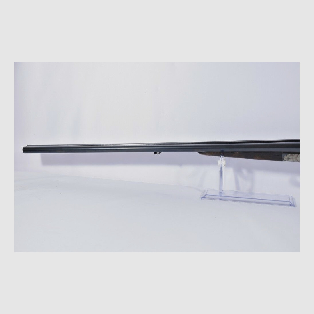 Bayard -