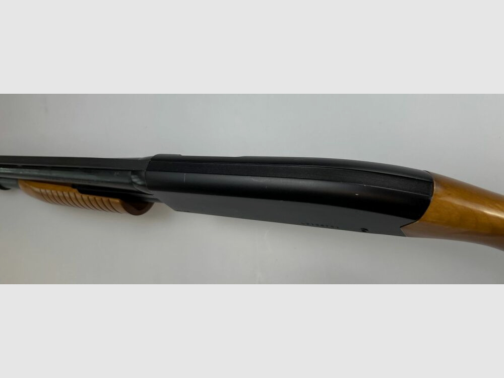 Winchester Ranger Pavo