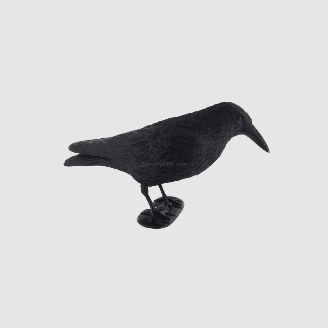 FORME APPELANT CORBEAU SUR PATTES