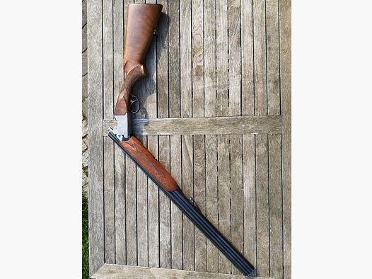 Sauer Franchi Regent