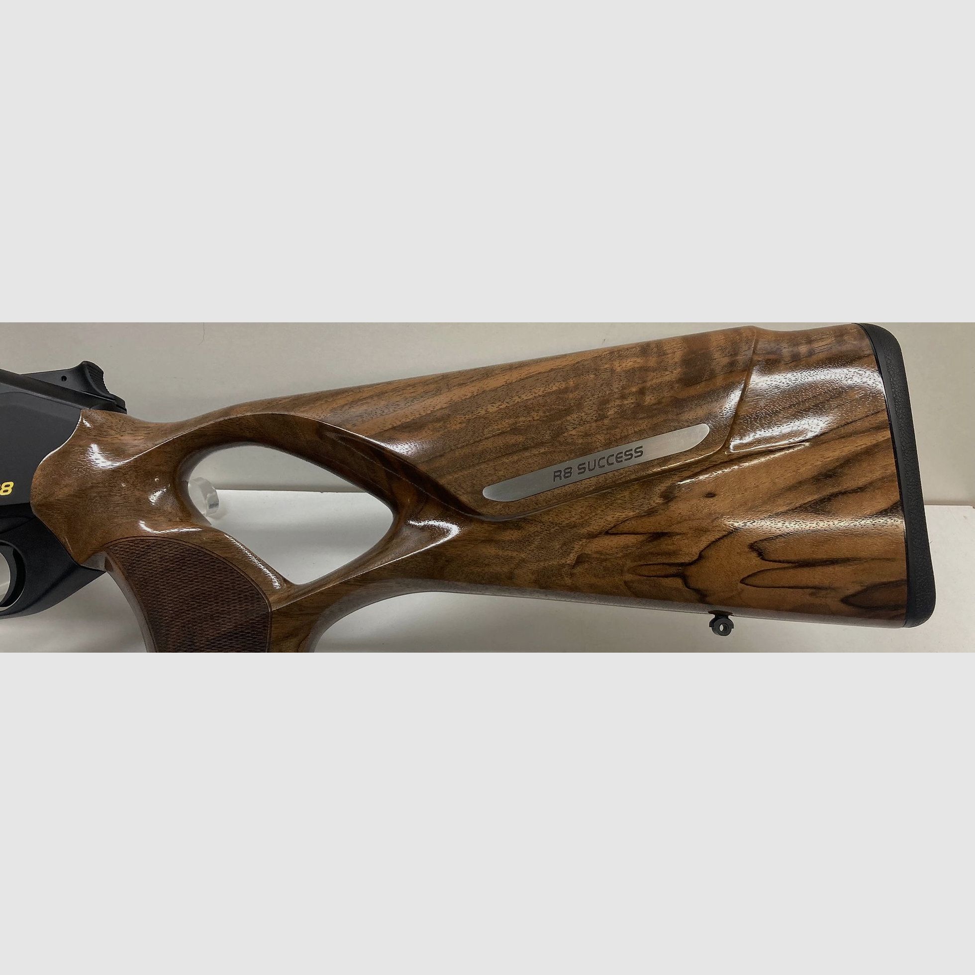 Blaser R8 Success