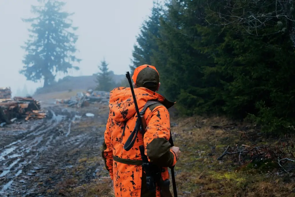 Seeland Jacket Helt Shield, image 5 of 10