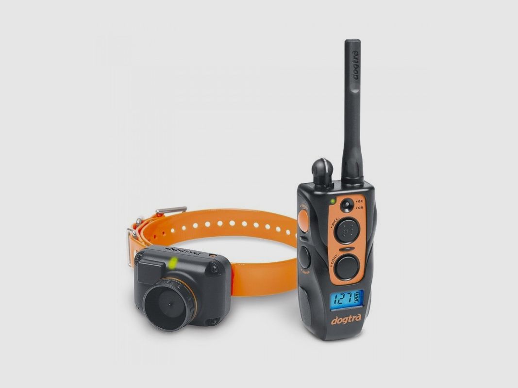 Dogtra 2600 T&B Dressage + Localisation