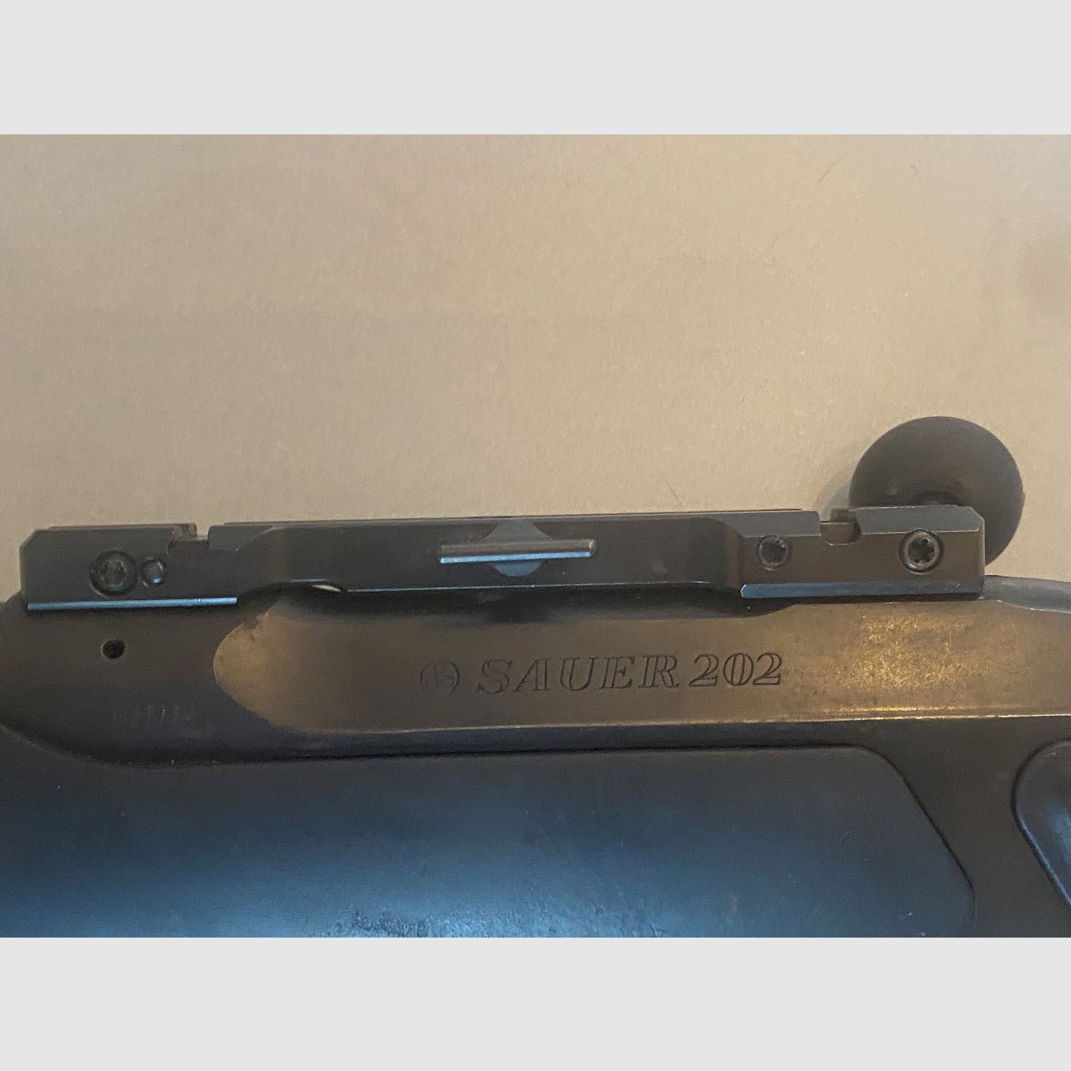 Sauer 202 Syncro Lochschaft XT Softgripp Calibre 30-06