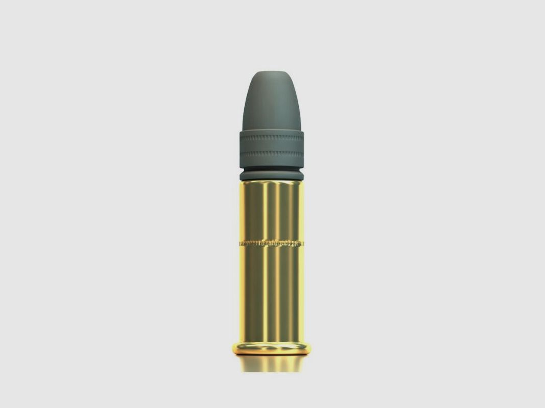 S&B .22 LR Subsonic, image 2 sur 2