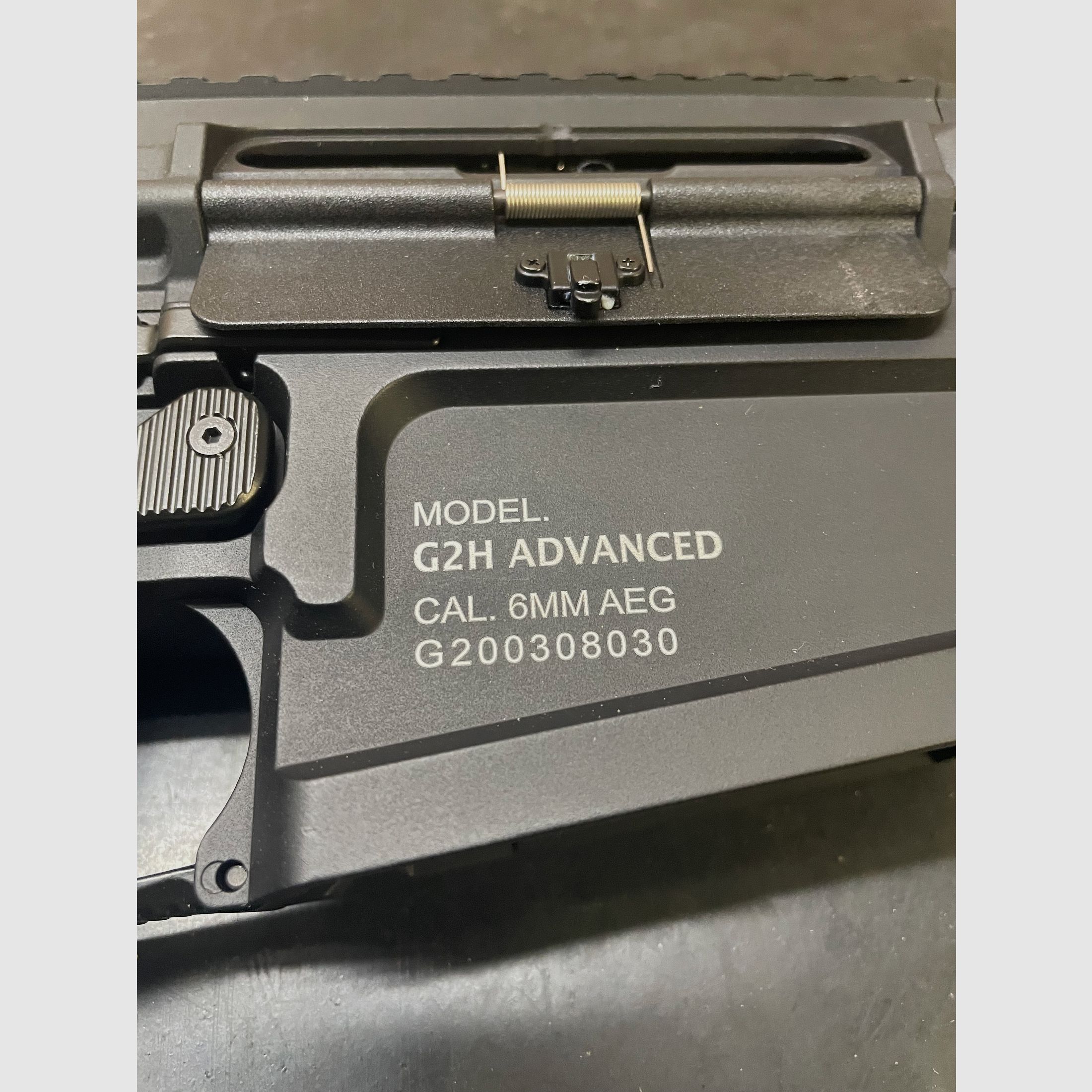 G&G TR16 SBR 308 Mk2 S-AEG