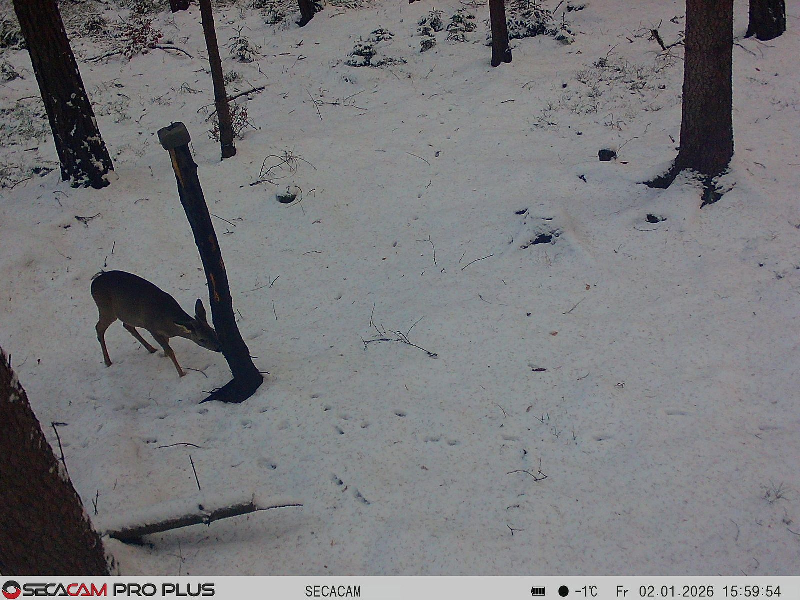 Secacam 