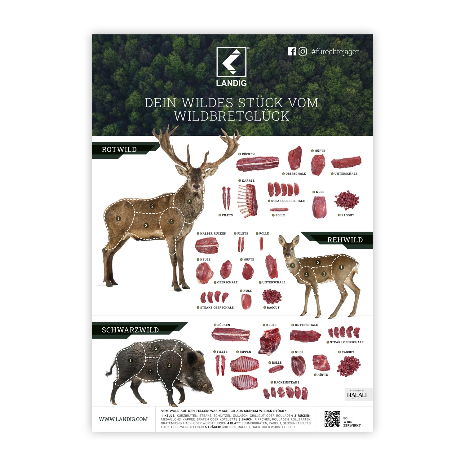 Landig game meat poster