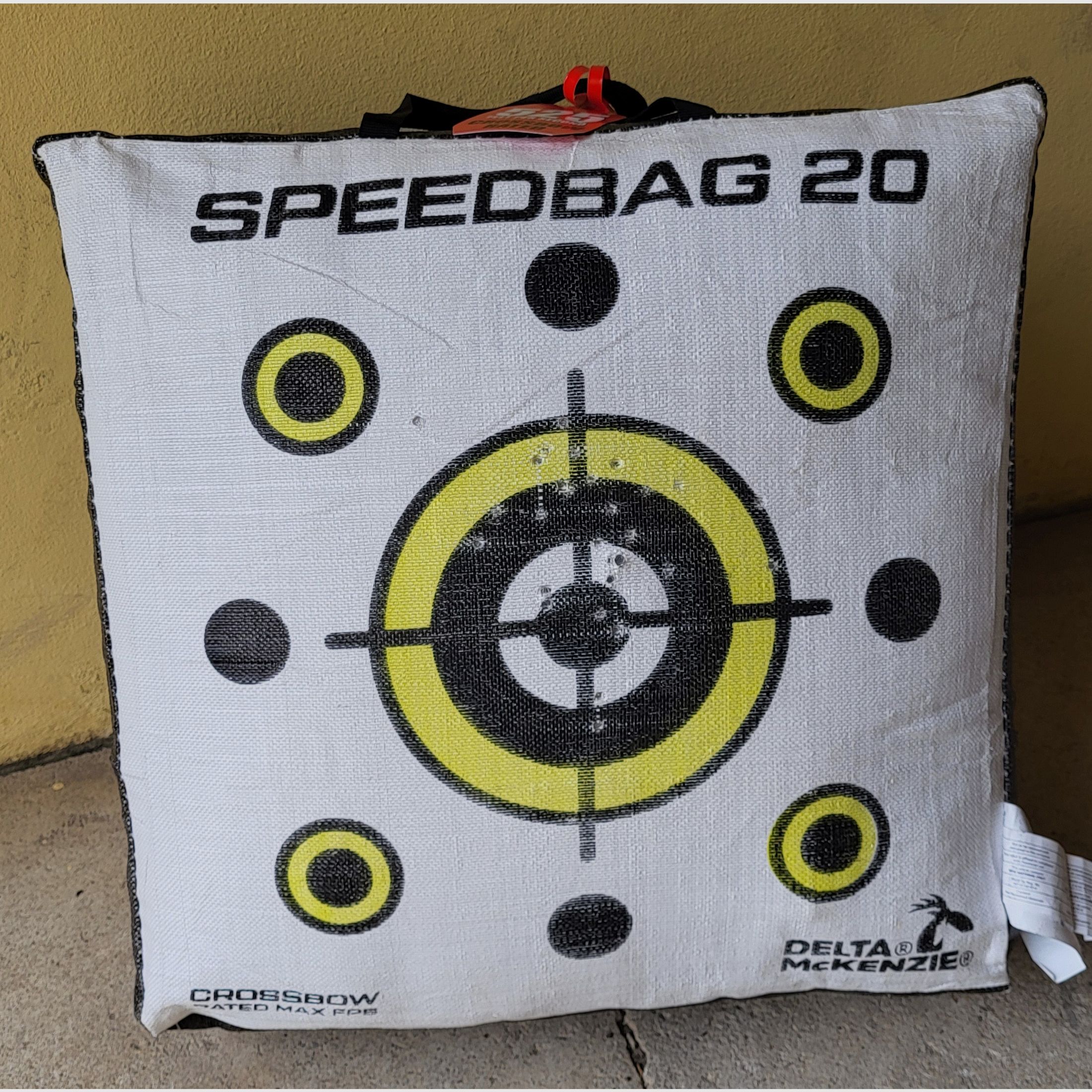 Steambow AR-6 Stinger