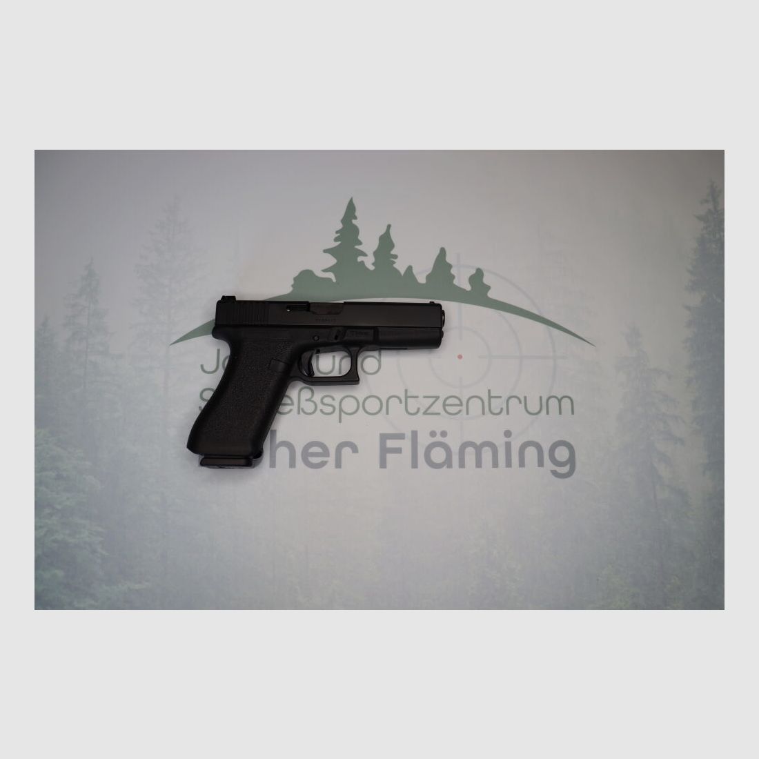 Glock P802022 9mmLuger